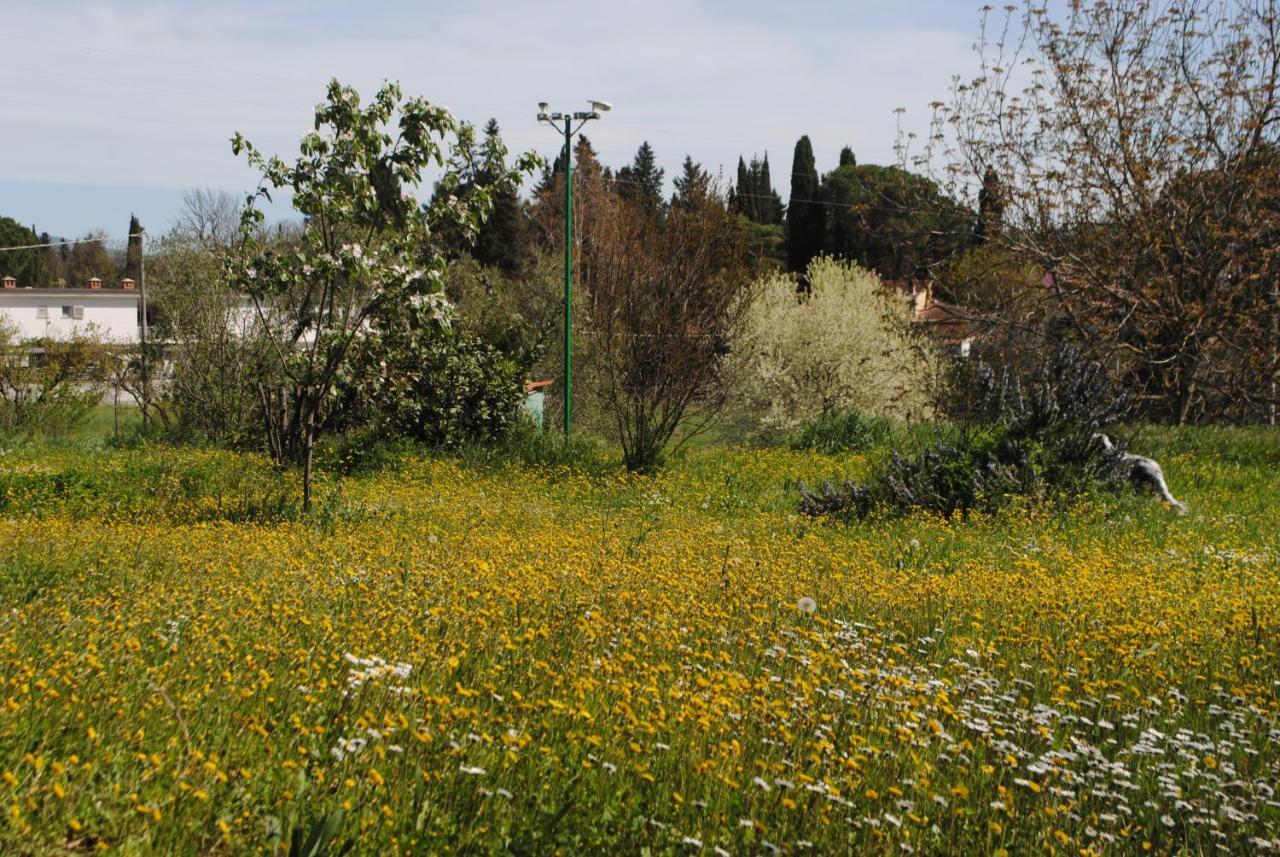Agriturismo Fattoria Di Malavolta Florenz Exterior foto