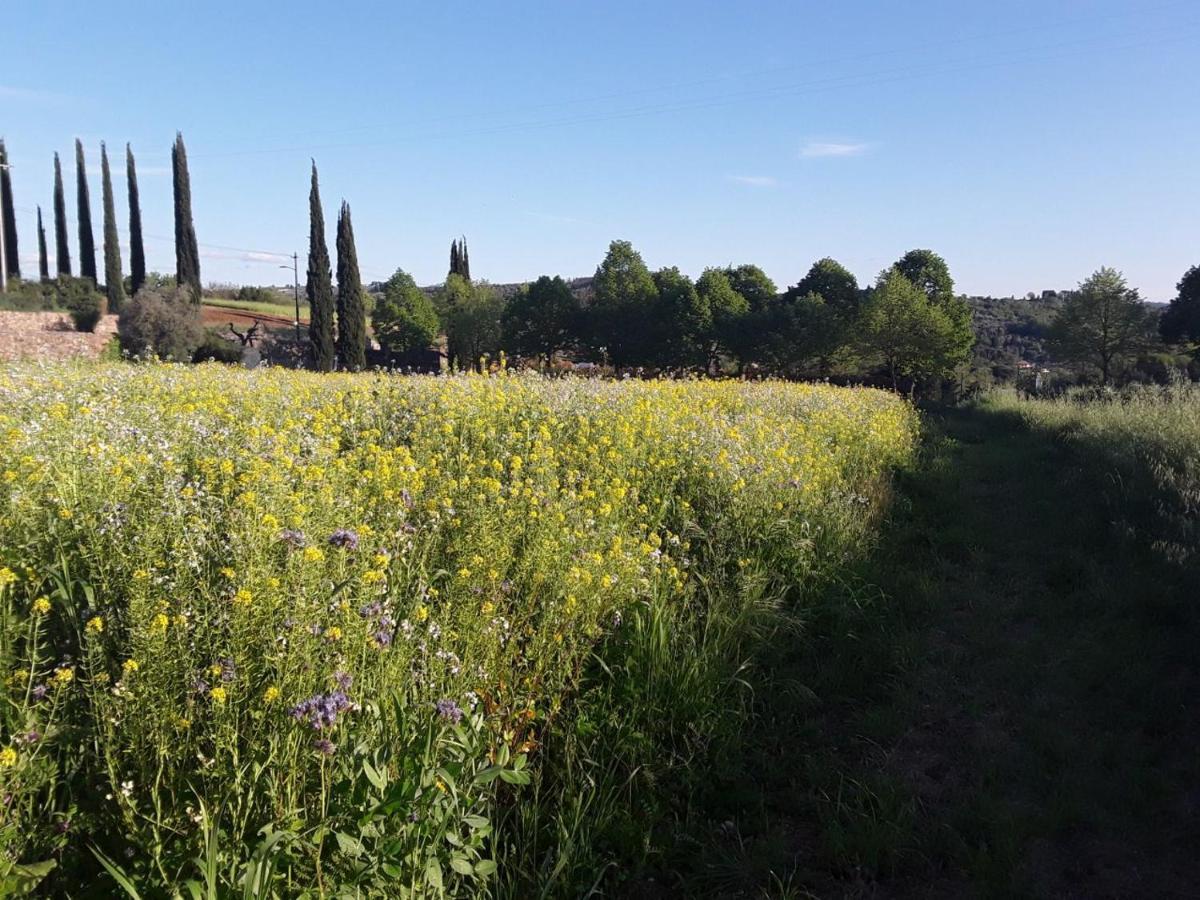 Agriturismo Fattoria Di Malavolta Florenz Exterior foto