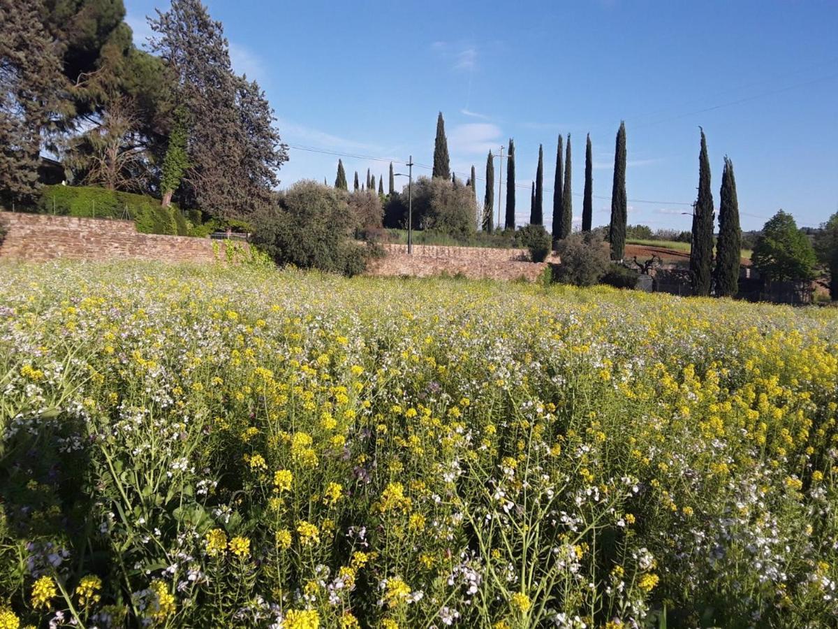 Agriturismo Fattoria Di Malavolta Florenz Exterior foto
